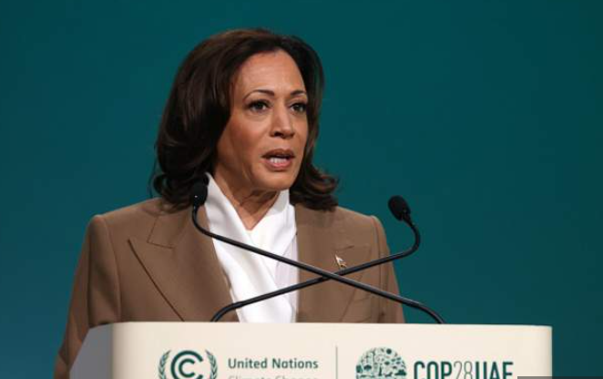 US will not permit forced relocation of Palestinians – Kamala Harris
